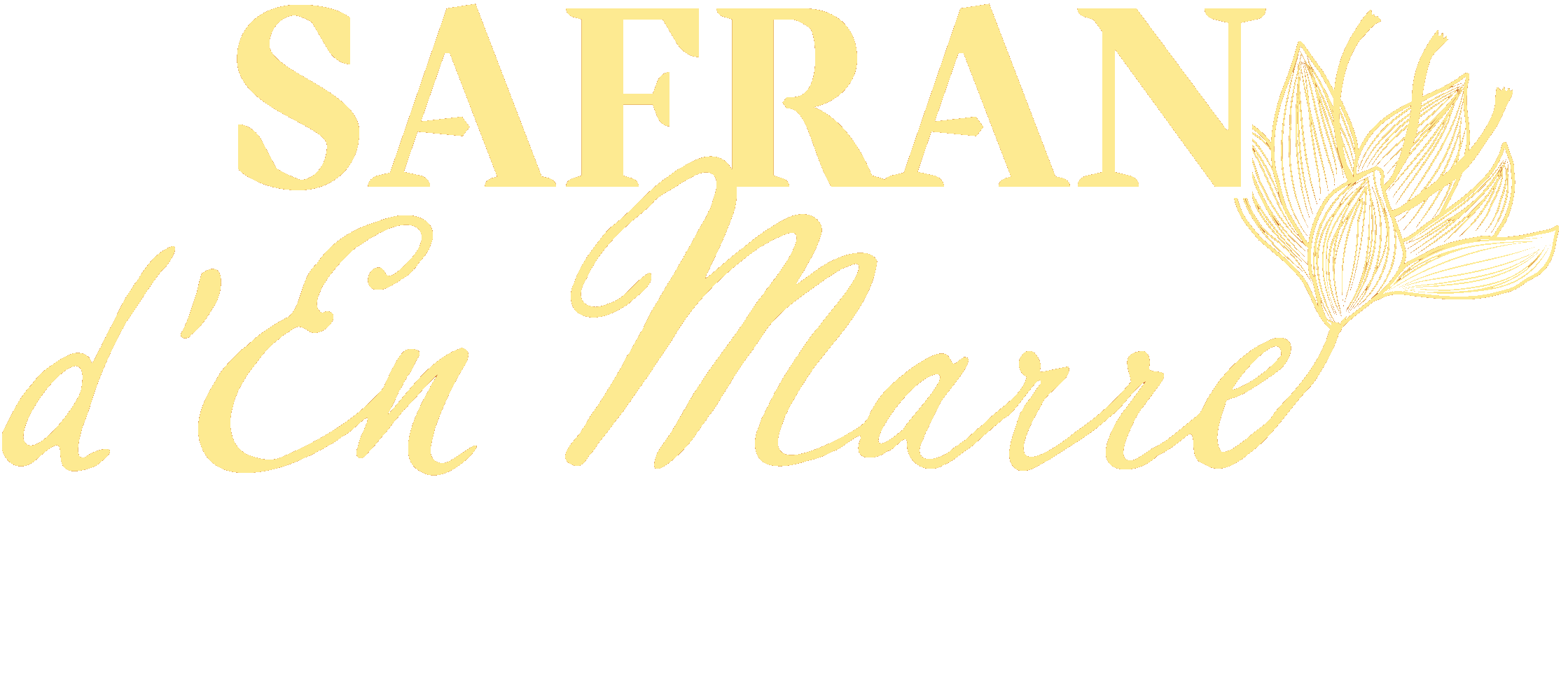 Logo Safran d'en Marre